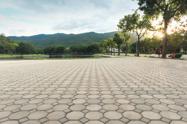 Professional Driveway Pavers in Palm River Clair Mel, FL